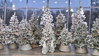 Projekt bez nazwy (83)