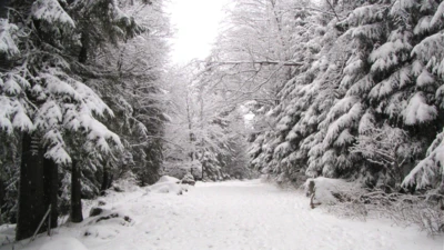 Projekt bez nazwy-137 Projekt bez nazwy-137