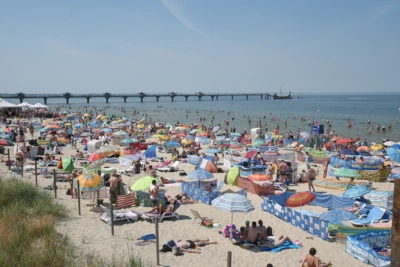 KAPIF_oryginal_K708096F