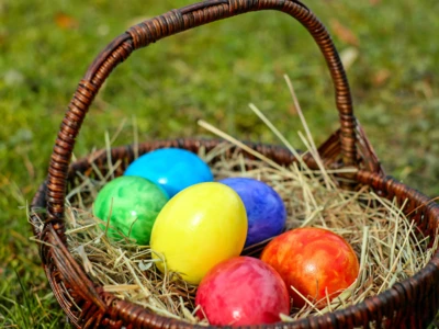 Projekt bez nazwy(28)