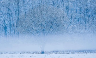 Jarosław Kaczyński, fot. KAPiF - 2026-04-20T100238.267