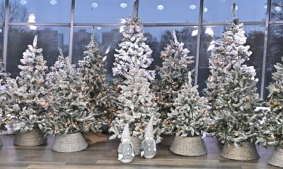 Projekt bez nazwy (83)