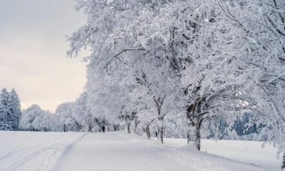 Śnieg. Fot. Pexels.