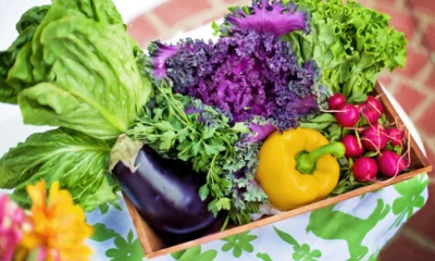 jillwellington-vegetables-790022