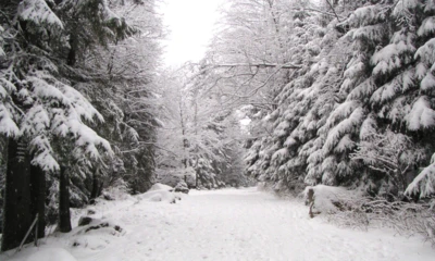 Projekt bez nazwy-137