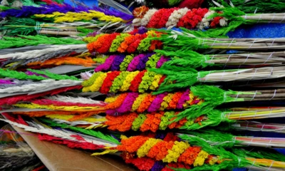 januszj-color-3240869