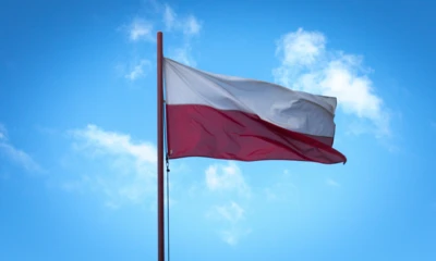 niepodaje-flag-5628983