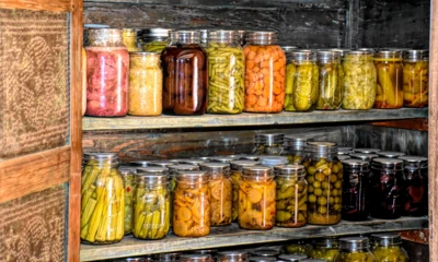 ray_shrewsberry-root-cellar-4022024_1920