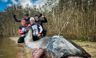 17bee662-89ab-4ce3-b27b-ea5905137421