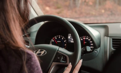oknesanofa-behind-the-wheel-4789777