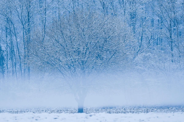 Jarosław Kaczyński, fot. KAPiF - 2026-04-20T100238.267