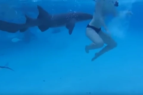 rek-bdd551fda49d13583061e25de538d3c7_5d0512