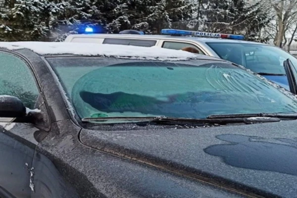 Projekt bez nazwy (51)