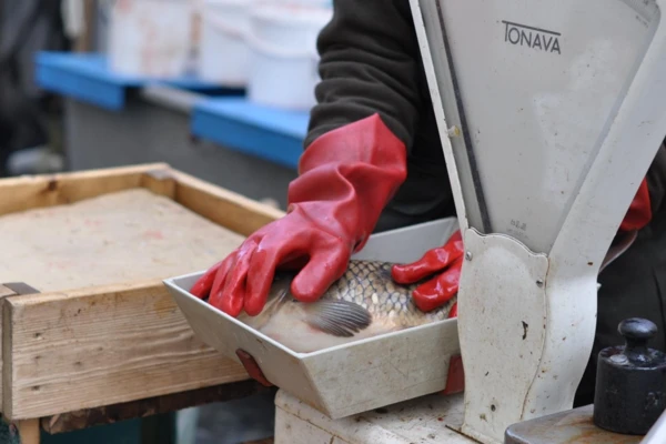 Projekt bez nazwy (57)