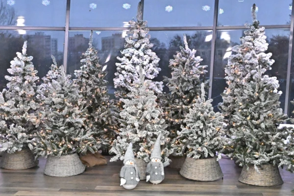 Projekt bez nazwy (83)