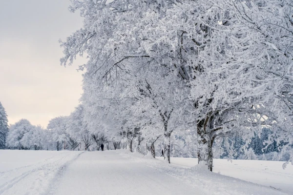 Śnieg. Fot. Pexels.