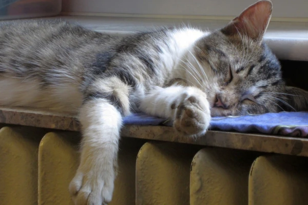 1280x720 - 2025-12-02T131921.345