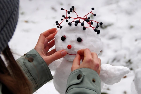 Projekt bez nazwy (2)