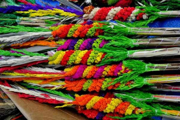 januszj-color-3240869