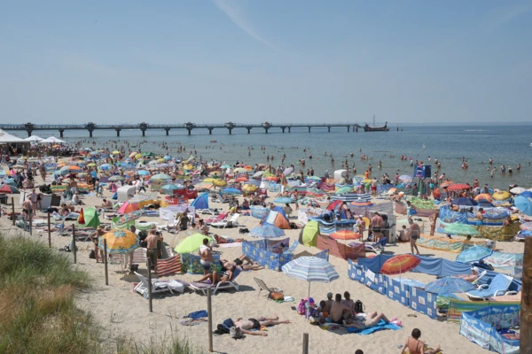 KAPIF_oryginal_K708096F