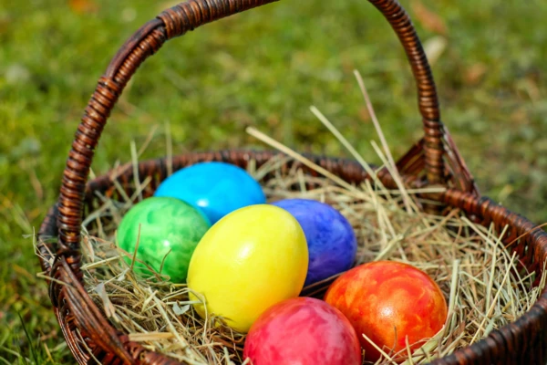 Projekt bez nazwy(28)