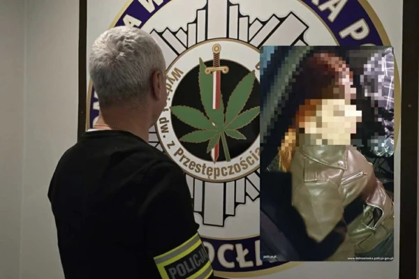 92729419-05fc-4998-9f88-fb8c891128aa 92729419-05fc-4998-9f88-fb8c891128aa