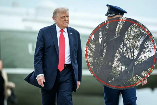 b246b460-455c-4ffc-bfa2-0d8159476ce2 b246b460-455c-4ffc-bfa2-0d8159476ce2