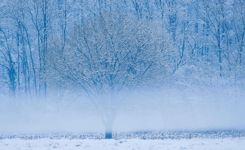 Jarosław Kaczyński, fot. KAPiF - 2026-04-20T100238.267