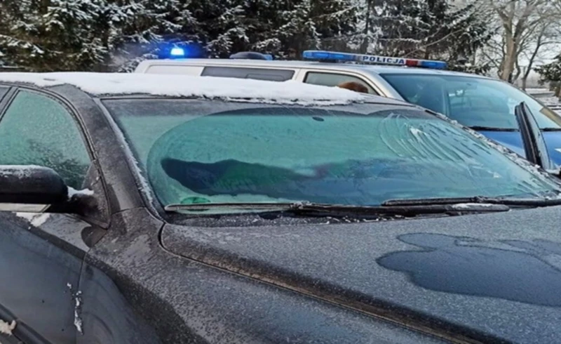 Projekt bez nazwy (51)