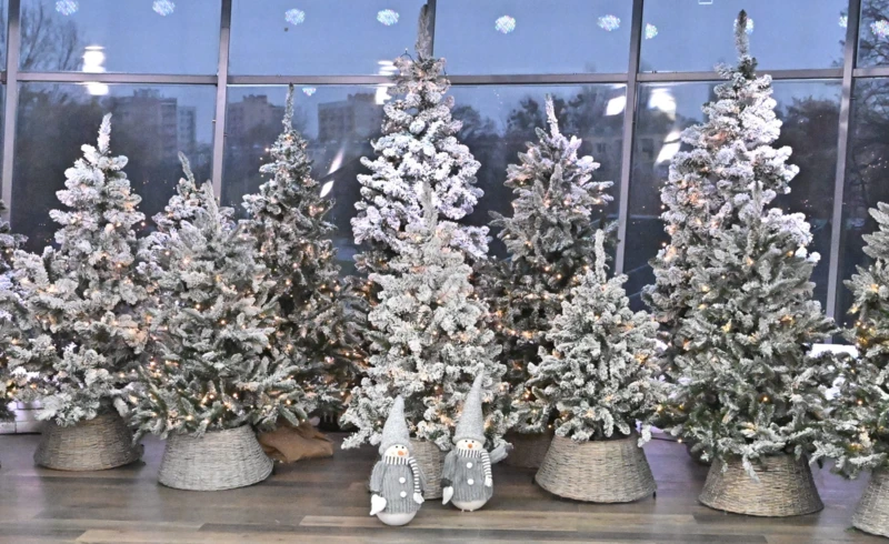 Projekt bez nazwy (83)