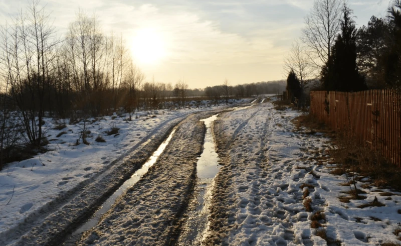 Jarosław Kaczyński, fot. KAPiF (65)