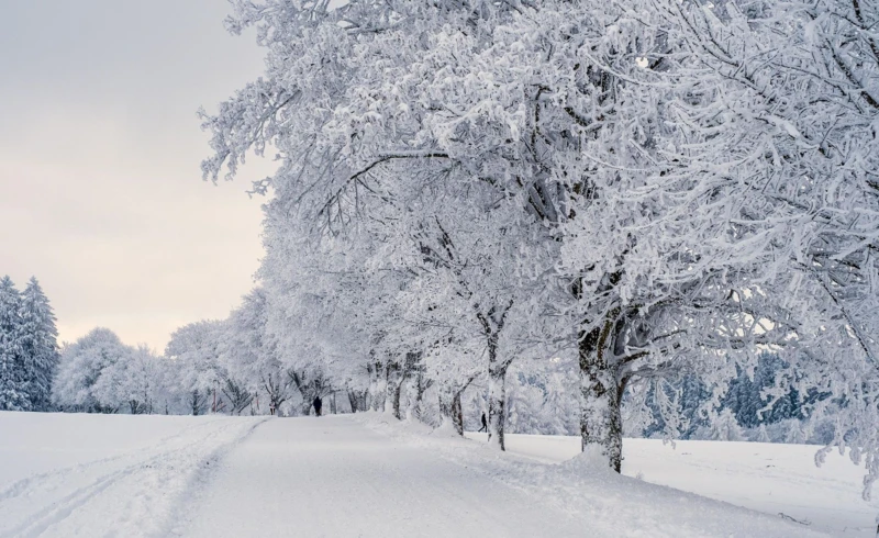 Śnieg. Fot. Pexels.