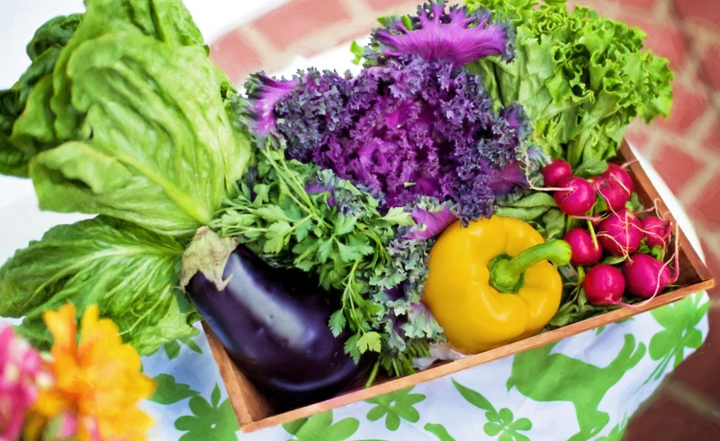 jillwellington-vegetables-790022