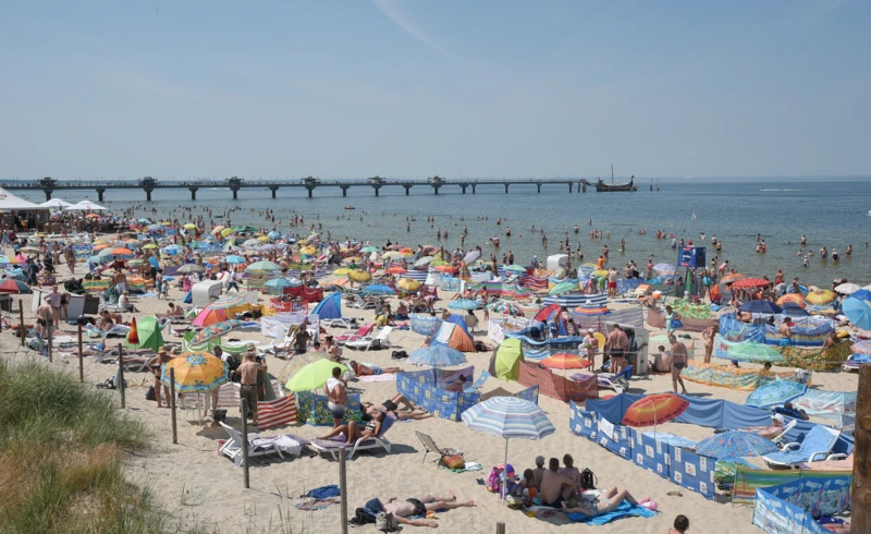 KAPIF_oryginal_K708096F