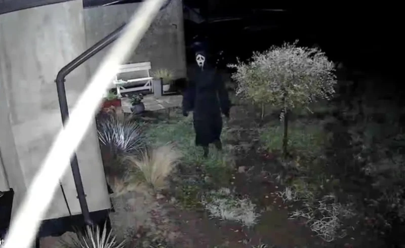 c8821b34-6550-47e1-80c2-0367653030f5