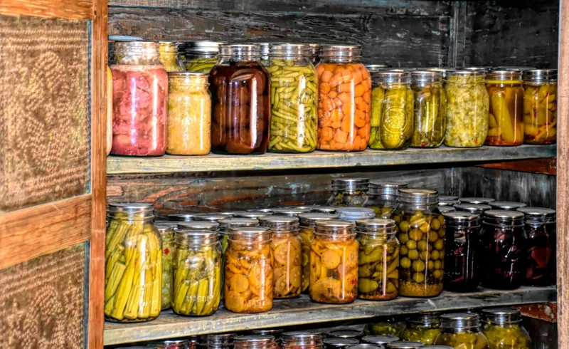 ray_shrewsberry-root-cellar-4022024_1920