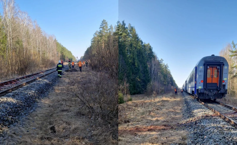Pociąg, wypadek. Fot. Facebook@KP PSP w Hajn&oacute;wce.
