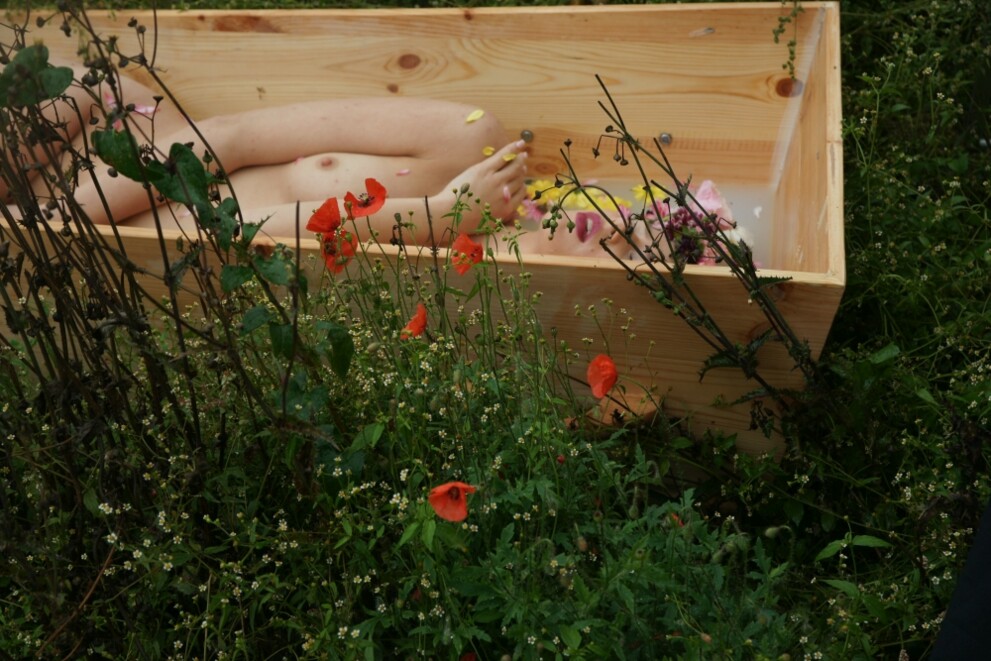 dsc06270-cff383112a983a1af395e9b7184d3029_c5b332 dsc06270-cff383112a983a1af395e9b7184d3029_c5b332