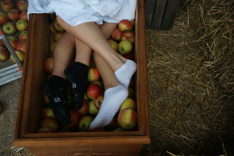 dsc06394-a056e43c51f4b1dca47f0753c2d112dd_12e4f3 dsc06394-a056e43c51f4b1dca47f0753c2d112dd_12e4f3