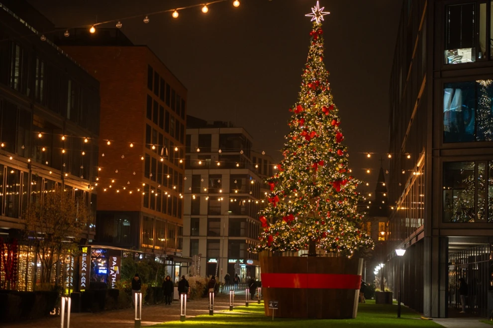 Elektrownia Powiśle (3) Duży
