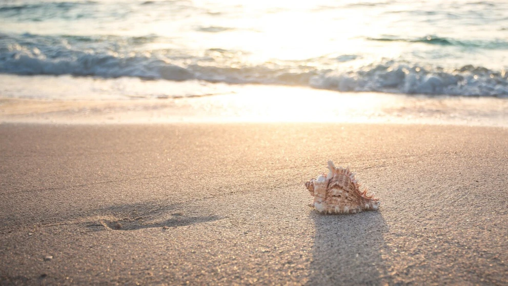 c9ec5734-2c06-4941-a67b-f59117923198