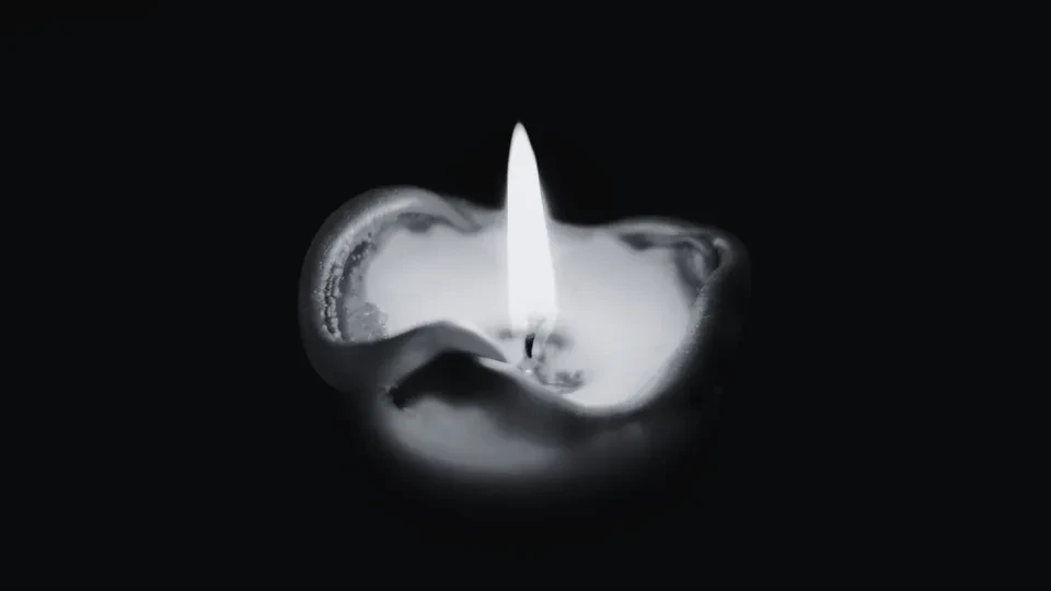 asfdfd asfdfd