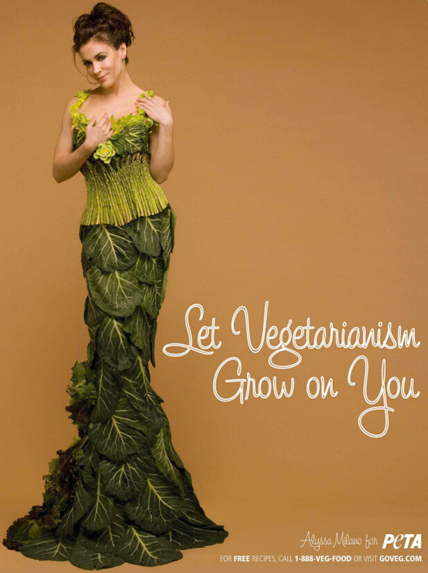 peta-alyssa-milano-ad-campaign-dvdbash-wordpress-ec50417111568c9d66946c88bc64927a_b0dd75 peta-alyssa-milano-ad-campaign-dvdbash-wordpress-ec50417111568c9d66946c88bc64927a_b0dd75