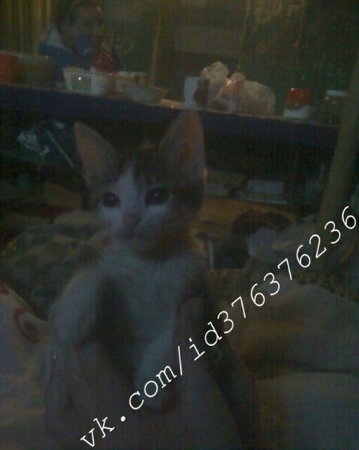 v-turme-04-a48dfa8a286216eefd13d35aef7a7005_9f39ee v-turme-04-a48dfa8a286216eefd13d35aef7a7005_9f39ee