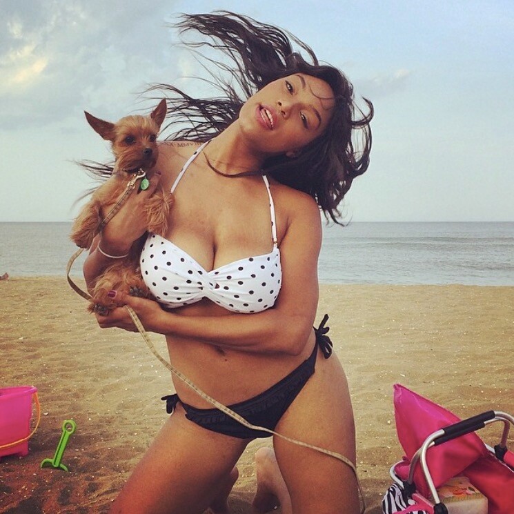 montana1-9b5e06f0783117883b4f830901453f2b_787152 montana1-9b5e06f0783117883b4f830901453f2b_787152