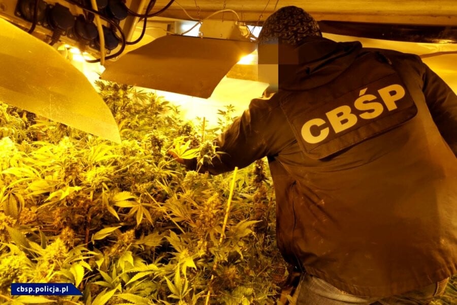 1-577c27a175fd271b8b0186e581711d30-1_390561 1-577c27a175fd271b8b0186e581711d30-1_390561