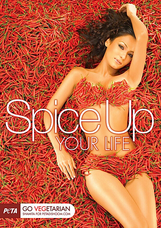 600-psashamitasinghaspiceupyourlife-1058x1497-b5f425371998b242cff037b35c298e57_891f08 600-psashamitasinghaspiceupyourlife-1058x1497-b5f425371998b242cff037b35c298e57_891f08