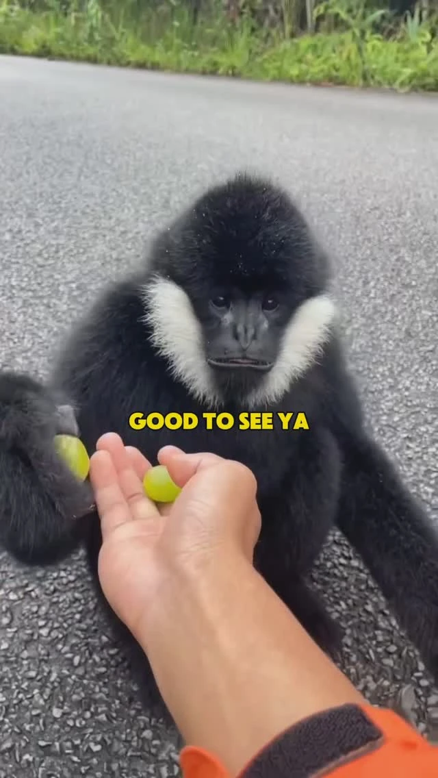 477066334_484972907804244_5365089128850046382_n.jpg?stp=dst-jpg_e15_tt6&_nc_ht=scontent.cdninstagram