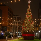 Elektrownia Powiśle (3) Duży