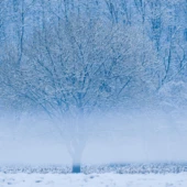 Jarosław Kaczyński, fot. KAPiF - 2026-04-20T100238.267